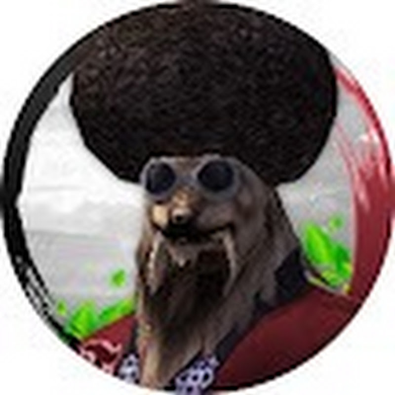 Kolejarz