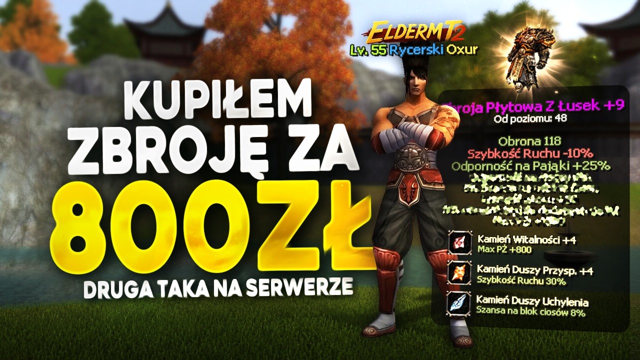 ElderMT2 #25 - KUPIŁEM ZBROJĘ ZA 800 PLN | RZUCIŁEM PRACĘ W BANKU DLA METINA | Metin2